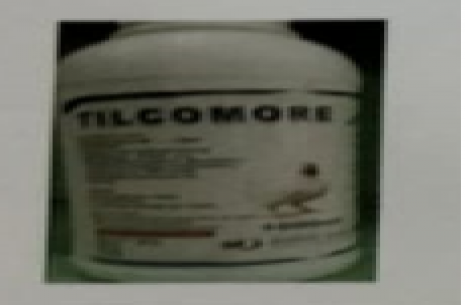 Tilcomore!